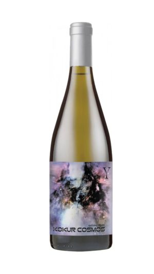 Кокур Космос 2021