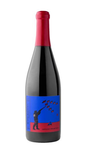 "Шары Колдуна" Пино Нуар Кирпичи Прилетели